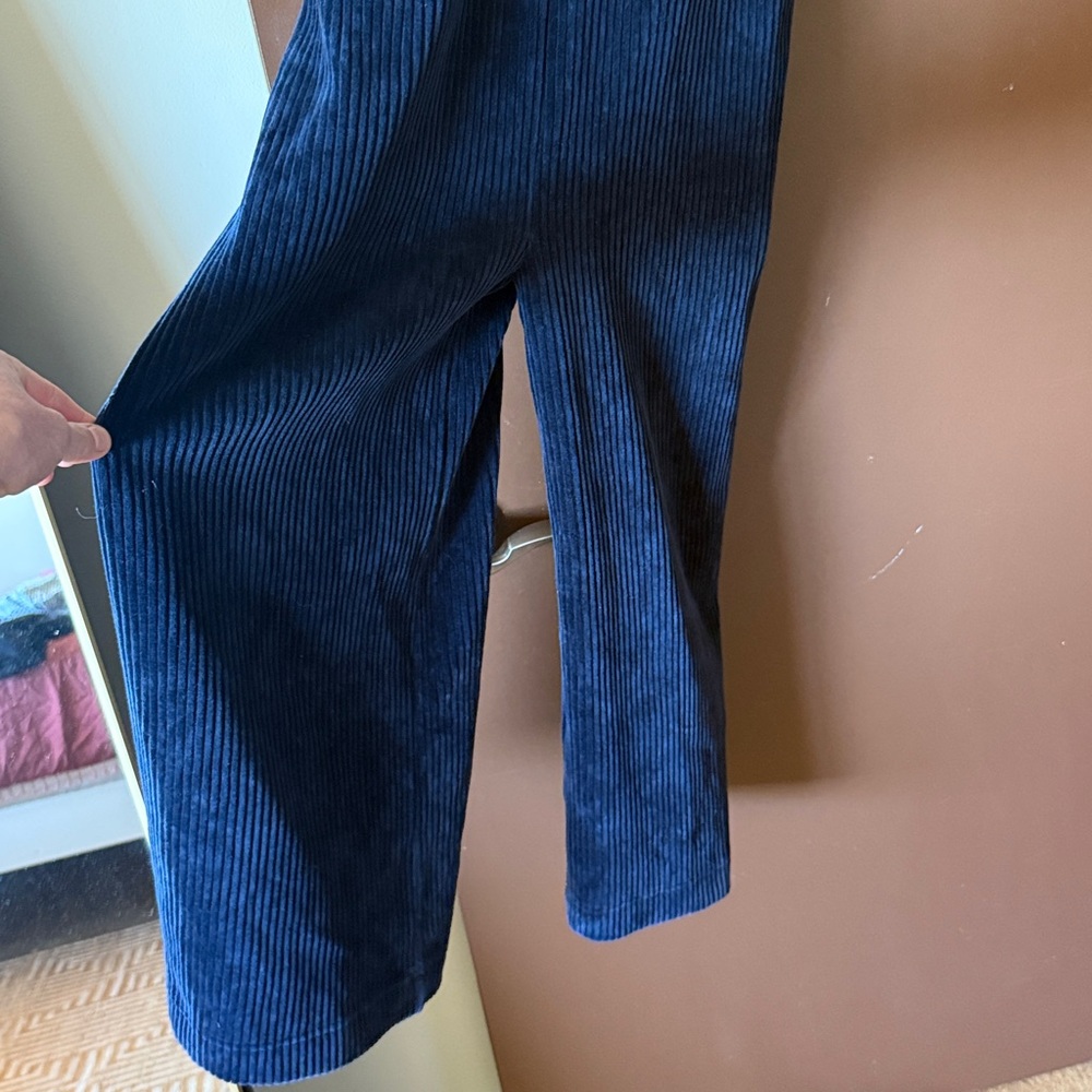 Madewell Texture & Thread Blue Corduroy Jumpsuit - Picture 3 of 8